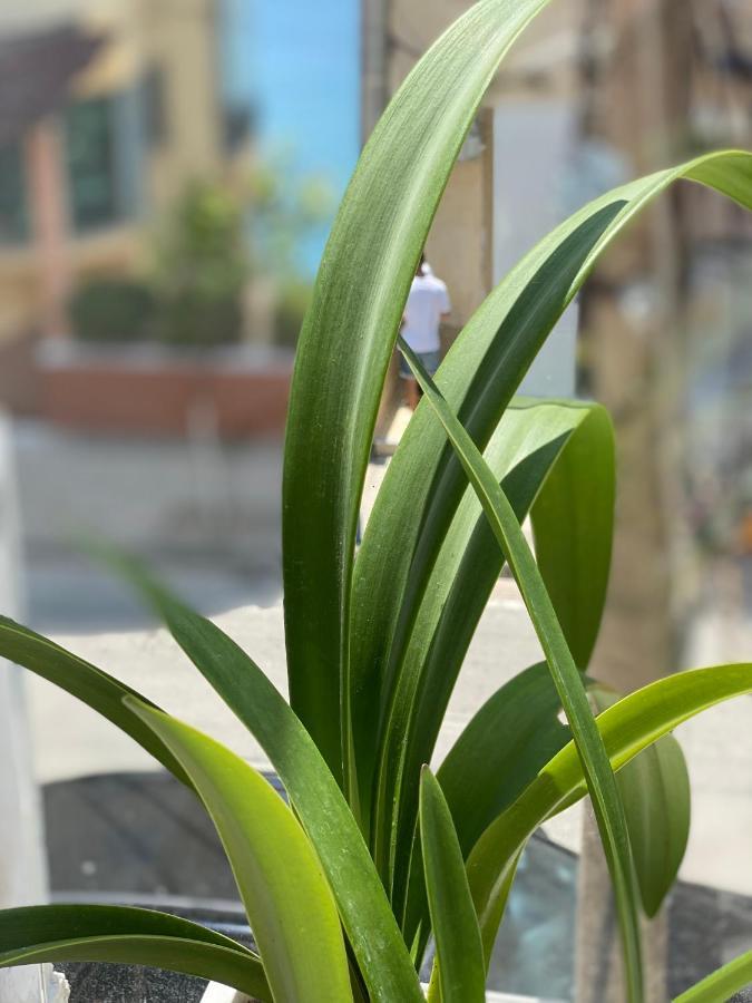 Violet'S Boutique Apartments Sarandë 외부 사진