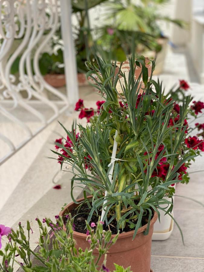 Violet'S Boutique Apartments Sarandë 외부 사진